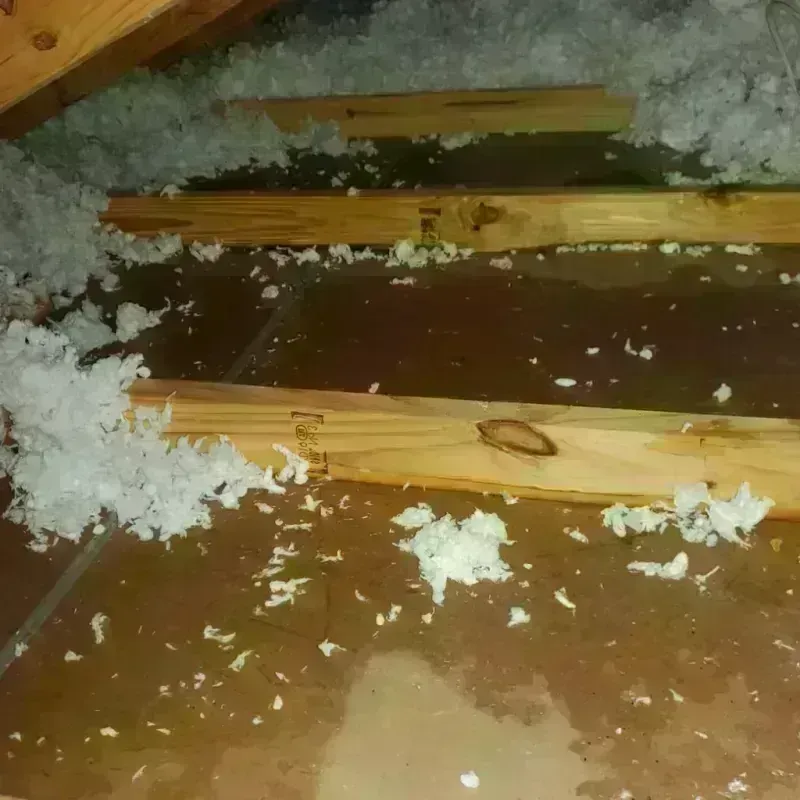 Attic Water Damage in New Haven, MI