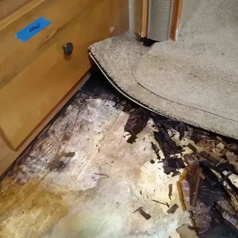 Wood Floor Water Damage in New Haven, MI